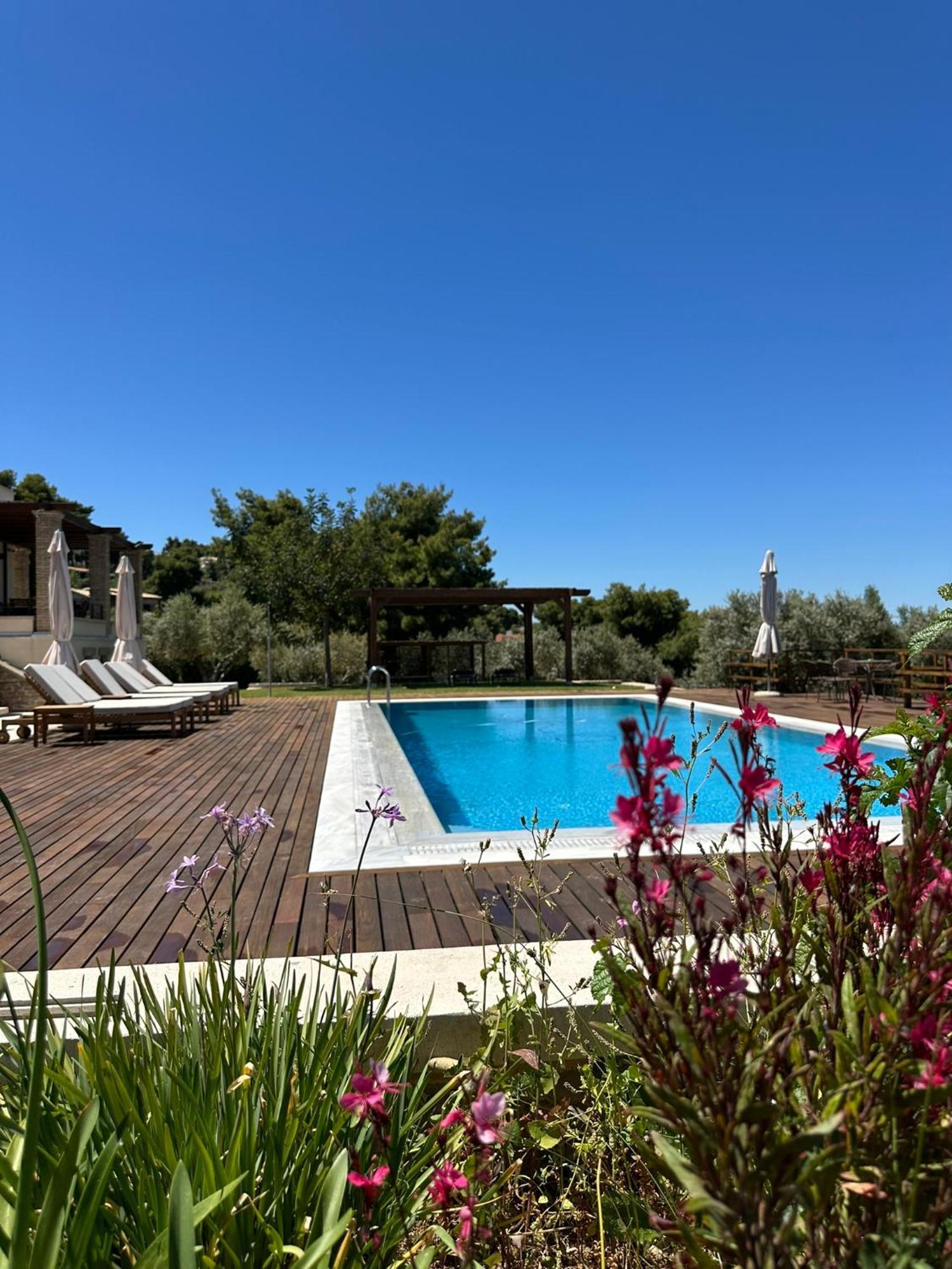 Villa Kalamos / Sea View And Pool Nearby Athens Exterior foto